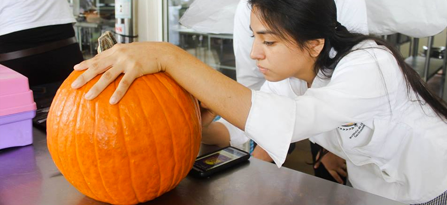 Concurso de Calabazas talladas