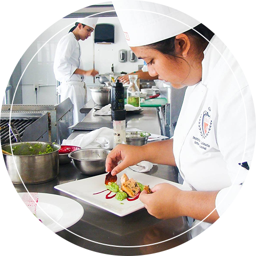 Licenciatura en Gastronomía